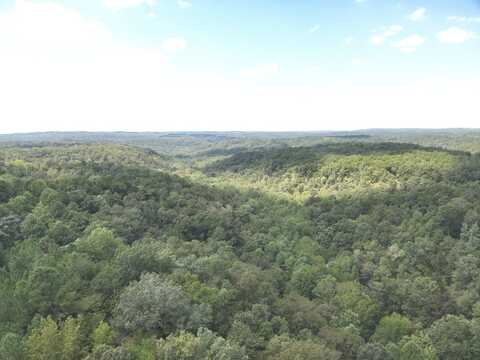 0 Stanley Road, Brookwood, AL 35444