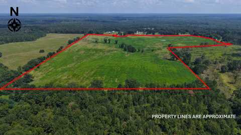 0 Greenville Hwy, Luverne, AL 36049