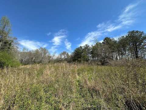 875 County Road 2205, Goshen, AL 36035