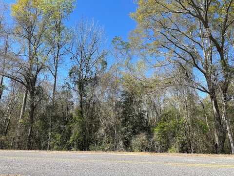 825 Co Rd 2205, Goshen, AL 36035