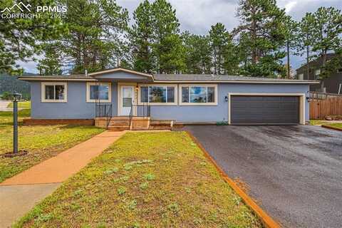 303 S Baldwin Street, Woodland Park, CO 80863