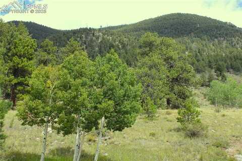 Highway 24, Lake George, CO 80827