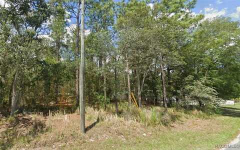 3081 E Thomas Street, Inverness, FL 34453