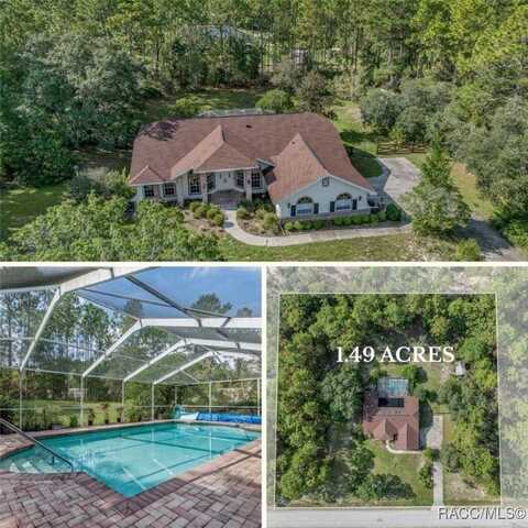 4226 W Pansy Lane, Beverly Hills, FL 34465