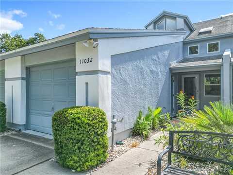 11032 W Cove Harbor Drive, Crystal River, FL 34428