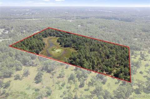 5499 N Gonzo Point, Crystal River, FL 34428