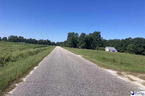 Lone Home Drive, Hamer, SC 29547