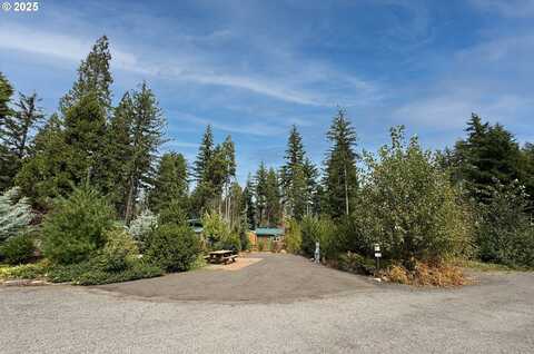 54432 McKenzie HWY, Blue River, OR 97413