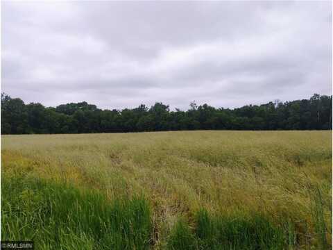 6xxx County Road 6 NW, Wyanett Twp, MN 55371