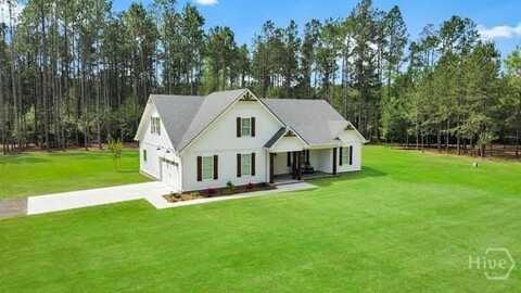 0 Chester Thomas Road, Springfield, GA 31329