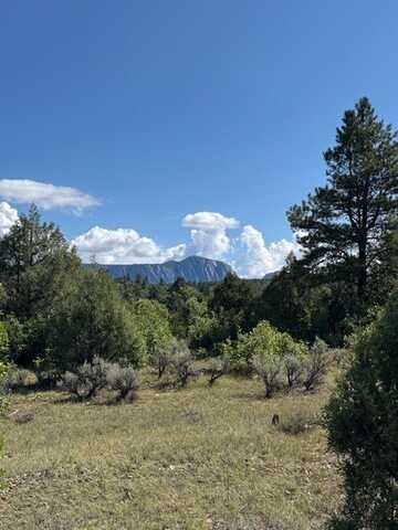 CR 485 lot: 2 Tract 1, Tierra Amarilla, NM 87575