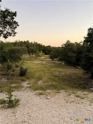 1043 Summit Bluff, Canyon Lake, TX 78133