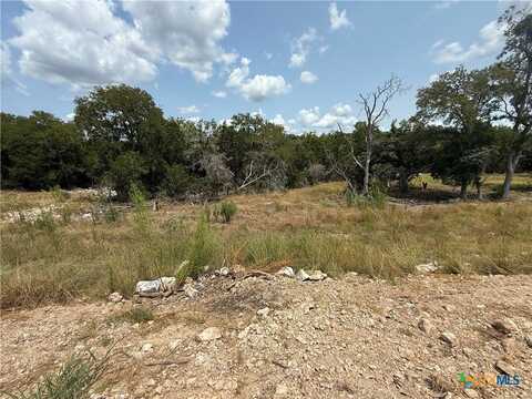 1432 Stahlman Way, New Braunfels, TX 78132