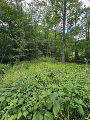 Tbd Lost Lake Rd, Troutdale, VA 24378