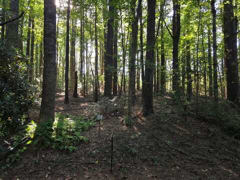 Tbd Evergreen Trail, Fancy Gap, VA 24328