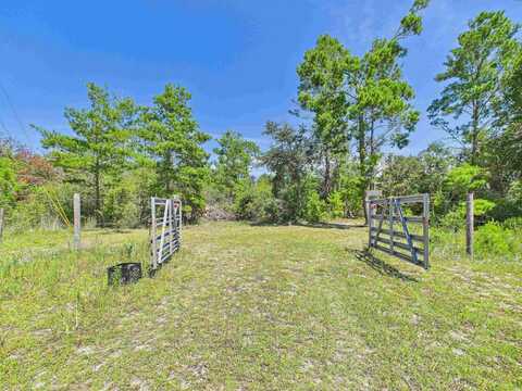 15500 Blue Crab Drive, Perry, FL 32348