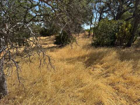 7030 Oxyoke Bend, Corning, CA 96021