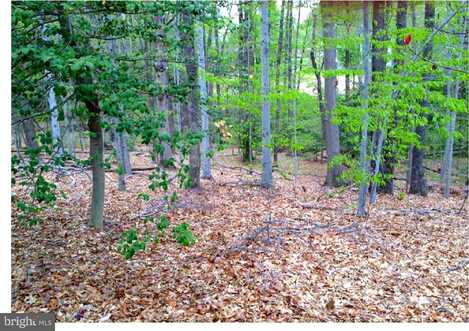 8310 UPPER SPRING LANE, ANNANDALE, VA 22003