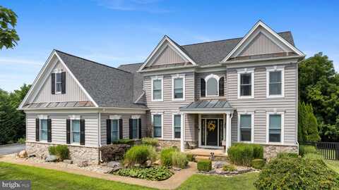 114 WILLOW GROVE MILL DRIVE, MIDDLETOWN, DE 19709