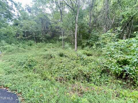 00 Hoover Road, Greeneville, TN 37743