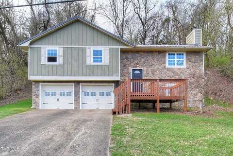 252 River Edge Drive, Kingsport, TN 37660
