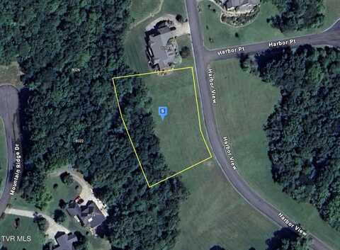 12039 Harbor View, Mooresburg, TN 37811