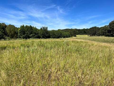 Robert Barnhill Rd., PARIS, TN 38242