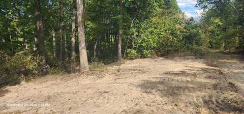 Pheasant Ridge Rd, SUGAR TREE, TN 38380