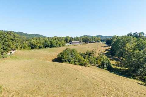 Mansville Lane, LIVINGSTON, TN 38570