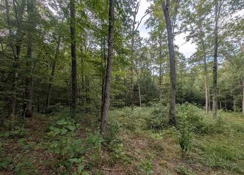 000 Hollow Creek Ln, Clarkrange, TN 38553
