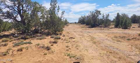 Tbd CR5532, Concho, AZ 85924