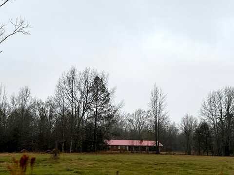 Davidson, WEST POINT, MS 39773