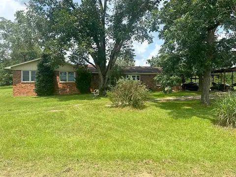 County Road 513, MIDLAND CITY, AL 36350