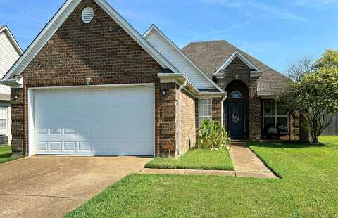 Oxford, JACKSON, TN 38305