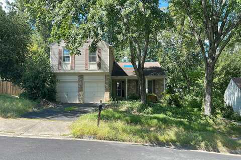Woodstown, SPRINGFIELD, VA 22153