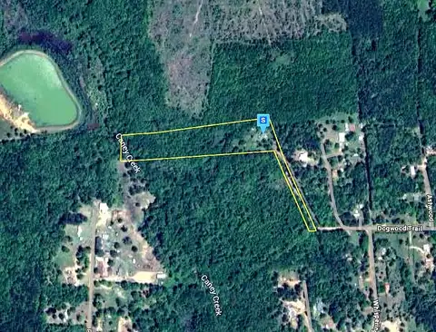 Hickory, HALLSVILLE, TX 75650