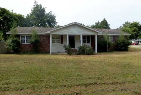 Plum, HAYTI, MO 63851