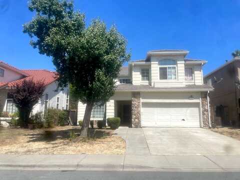 Bamboo, ANTIOCH, CA 94509