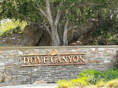 Mountain Laurel, TRABUCO CANYON, CA 92679