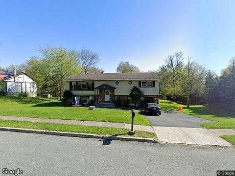 Peter Bush, MONROE, NY 10950