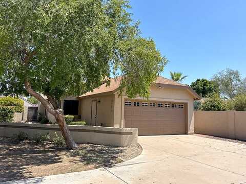 Boston, CHANDLER, AZ 85226