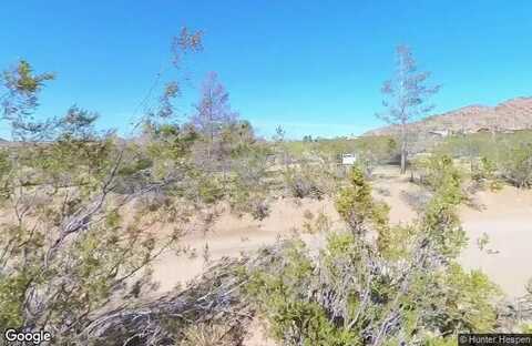 Single Tree, JOSHUA TREE, CA 92252