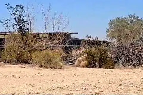 Presswood, TWENTYNINE PALMS, CA 92277