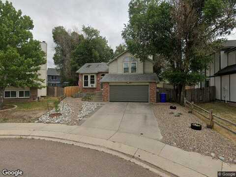 Salsifa, COLORADO SPRINGS, CO 80920