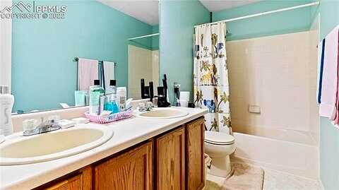 Purple Thistle, COLORADO SPRINGS, CO 80922