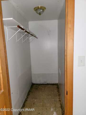 Elderberry, EAST STROUDSBURG, PA 18302