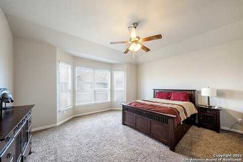 Daisy, NEW BRAUNFELS, TX 78130