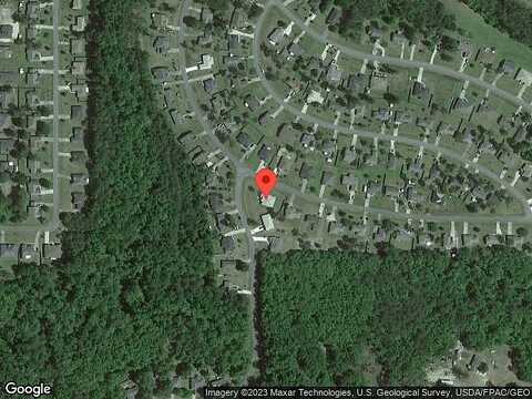 Sand Pine, MIDWAY, FL 32343