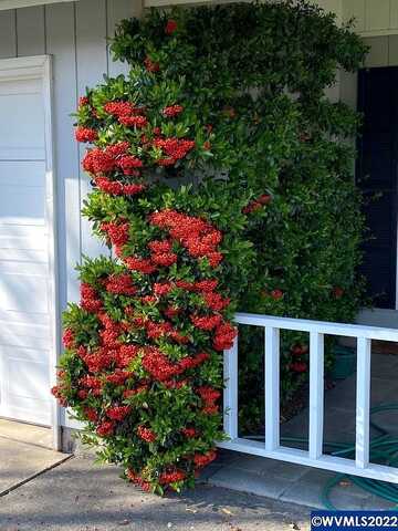 Satter, SALEM, OR 97305