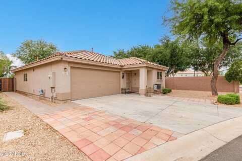 Banelli, CHANDLER, AZ 85286